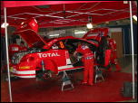 Click on one of the size names above to enlarge this image Click on one of the size names above to enlarge this image