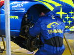 Click on one of the size names above to enlarge this image Click on one of the size names above to enlarge this image