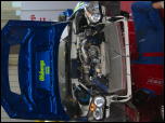 Click on one of the size names above to enlarge this image Click on one of the size names above to enlarge this image