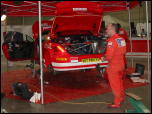 Click on one of the size names above to enlarge this image Click on one of the size names above to enlarge this image