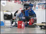 Click on one of the size names above to enlarge this image Click on one of the size names above to enlarge this image