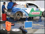 Click on one of the size names above to enlarge this image Click on one of the size names above to enlarge this image