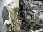 Click on one of the size names above to enlarge this image Click on one of the size names above to enlarge this image