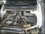 Click on one of the size names above to enlarge this image Click on one of the size names above to enlarge this image
