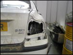 Click on one of the size names above to enlarge this image Click on one of the size names above to enlarge this image