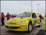 Click on one of the size names above to enlarge this image Click on one of the size names above to enlarge this image