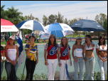 Click on one of the size names above to enlarge this image Click on one of the size names above to enlarge this image