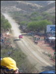 Click on one of the size names above to enlarge this image Click on one of the size names above to enlarge this image