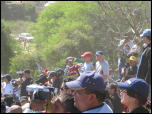 Click on one of the size names above to enlarge this image Click on one of the size names above to enlarge this image